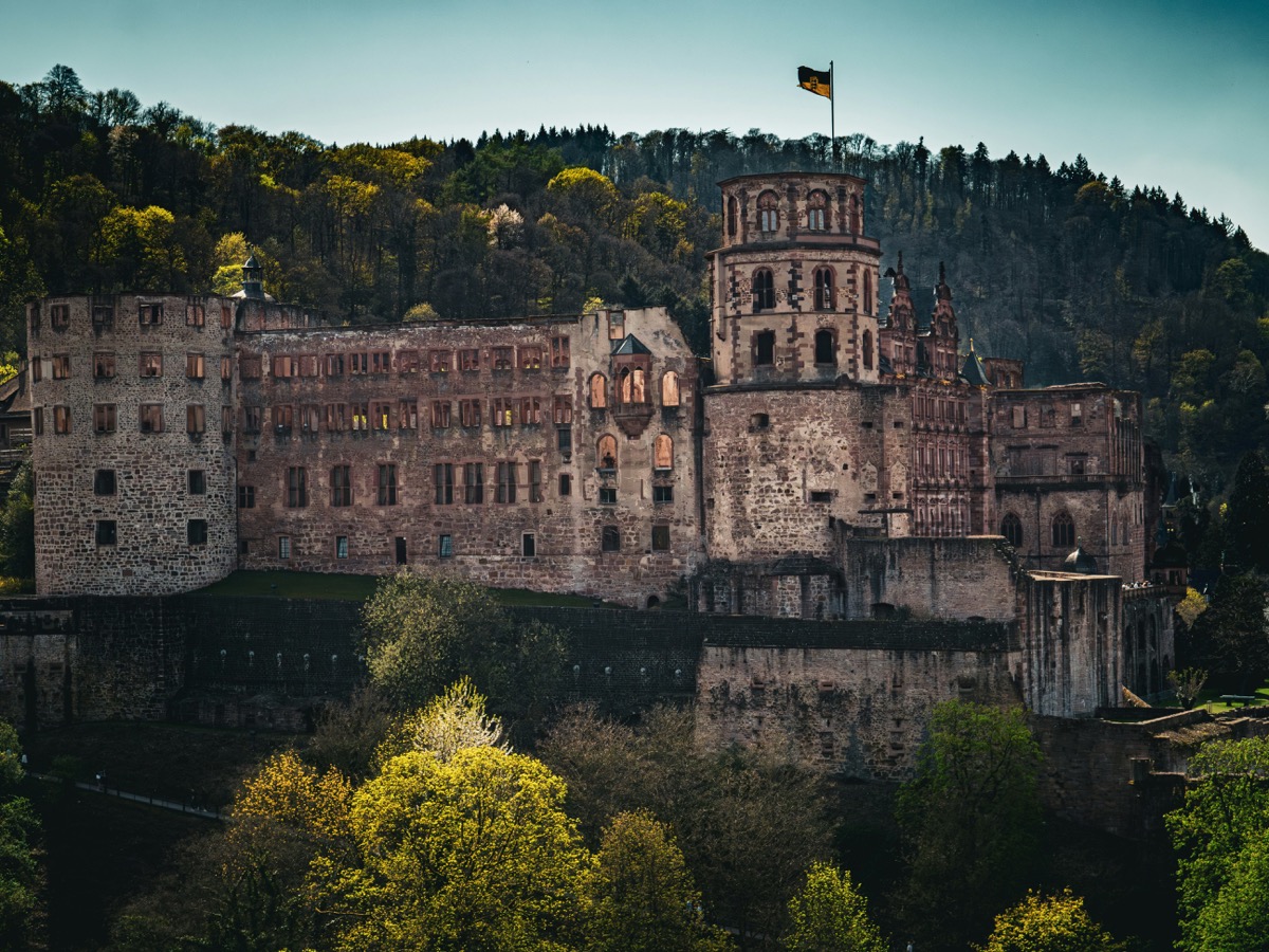 Heidelberg Castle on the hill