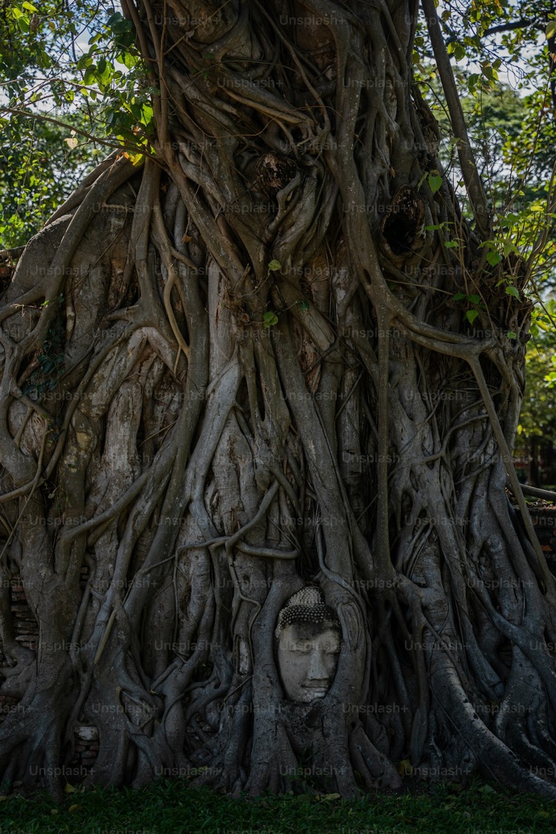 Ayutthaya historical park ruins